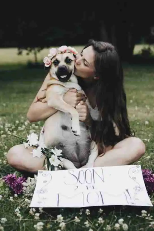8-Weeks Pregnant Dog’s Maternity Shoot Goes Viral (Photos)